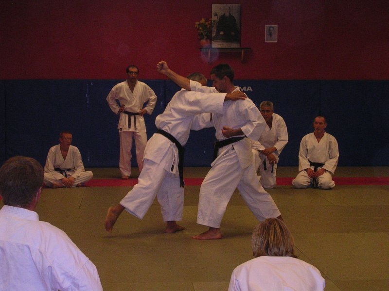Stage des 11, 12 et 13 Novembre 2005 avec Maître Hidetoshi Nakahashi